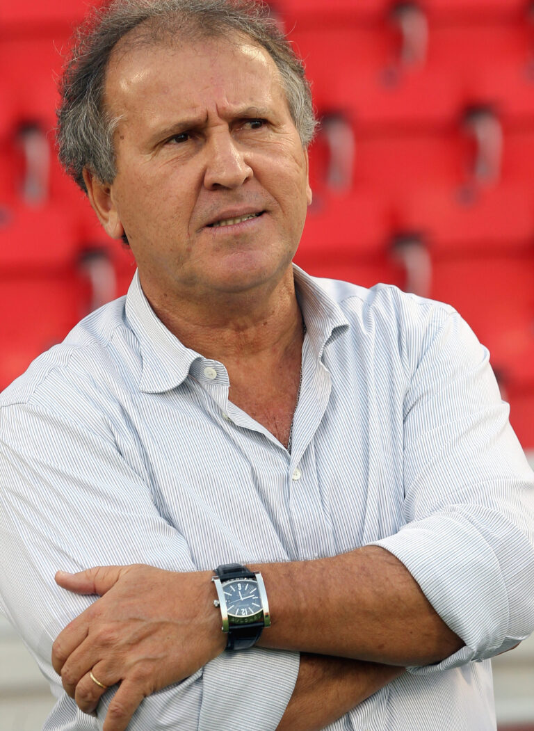 Biografía de Zico